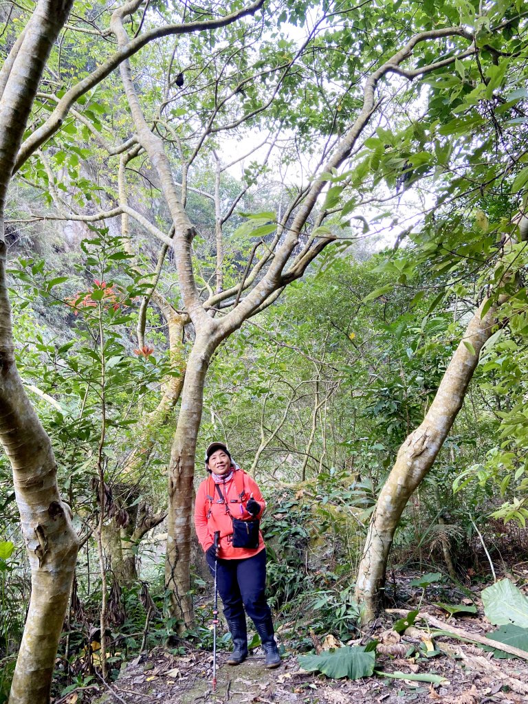 仙女瀑布、暗影山O行 2021.2.19_1276199