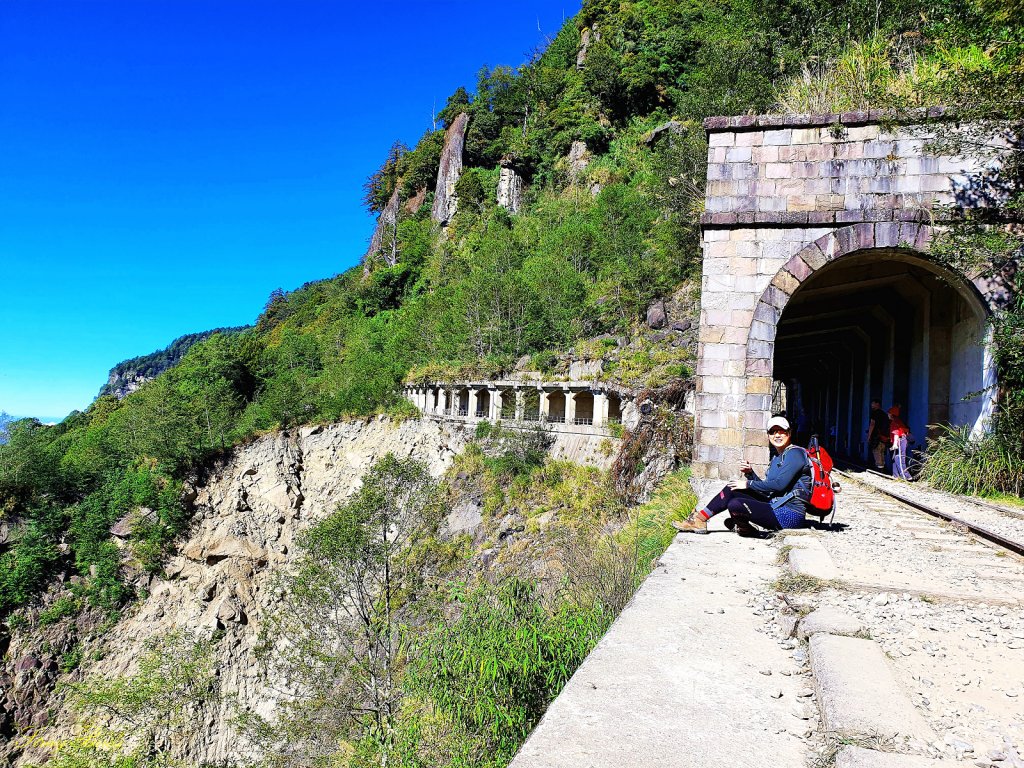 【眠於月下】阿里山林鐵之旅_1510033