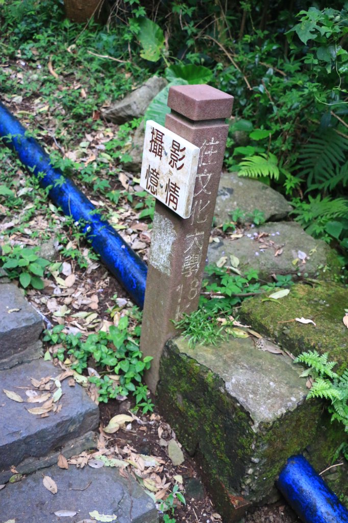 2016.09.11-天母水管路步道_2015078