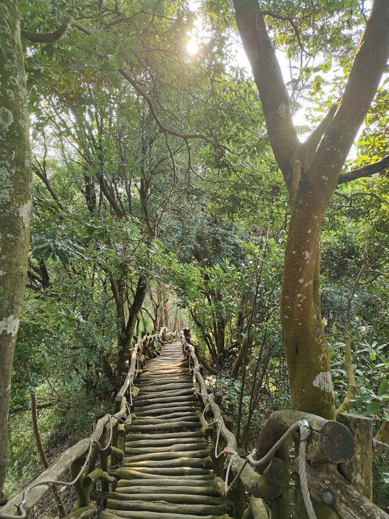 頭嵙山_2868965