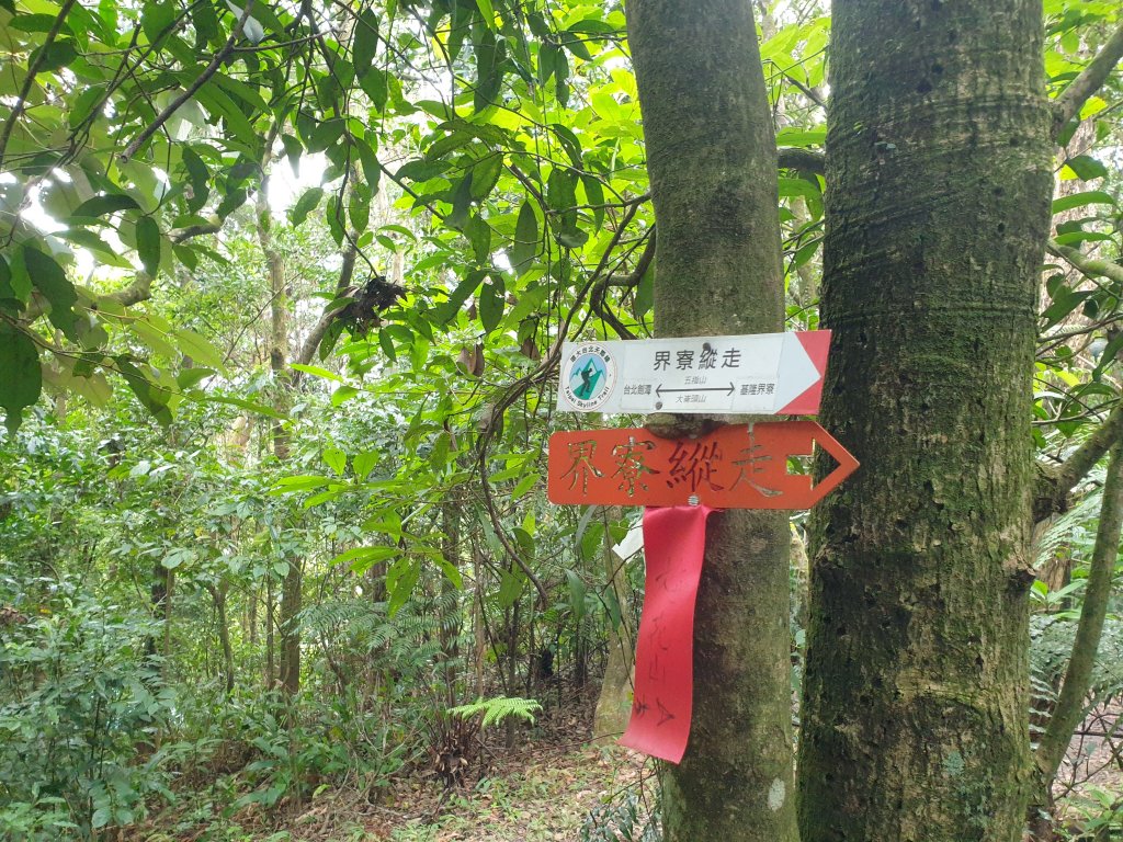 臺北大縱走第四段_1515985