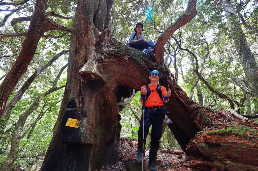 1130511夫拉縱走_2500127