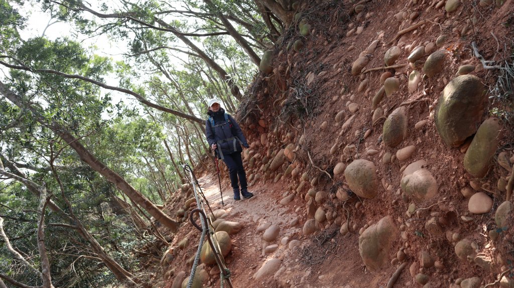 火炎山縱走慈濟茶園登山健行趣(小百岳35號)_2022844