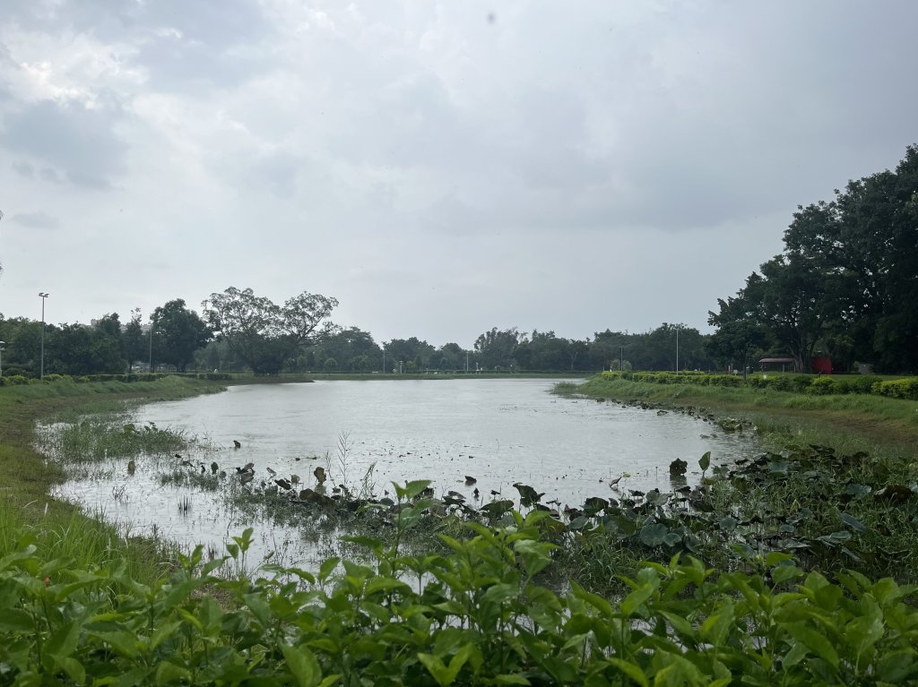 [全臺走路趣尋寶-33/100] 2024_0728_北香湖公園封面圖