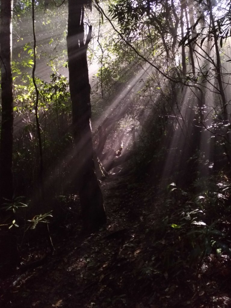 20221218 鵝公髻山_1966763