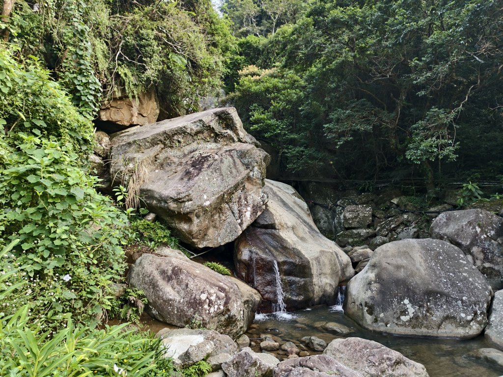 [百山百鳥尋旅-13/15] 2025_0929 圓覺寺步道_2900868