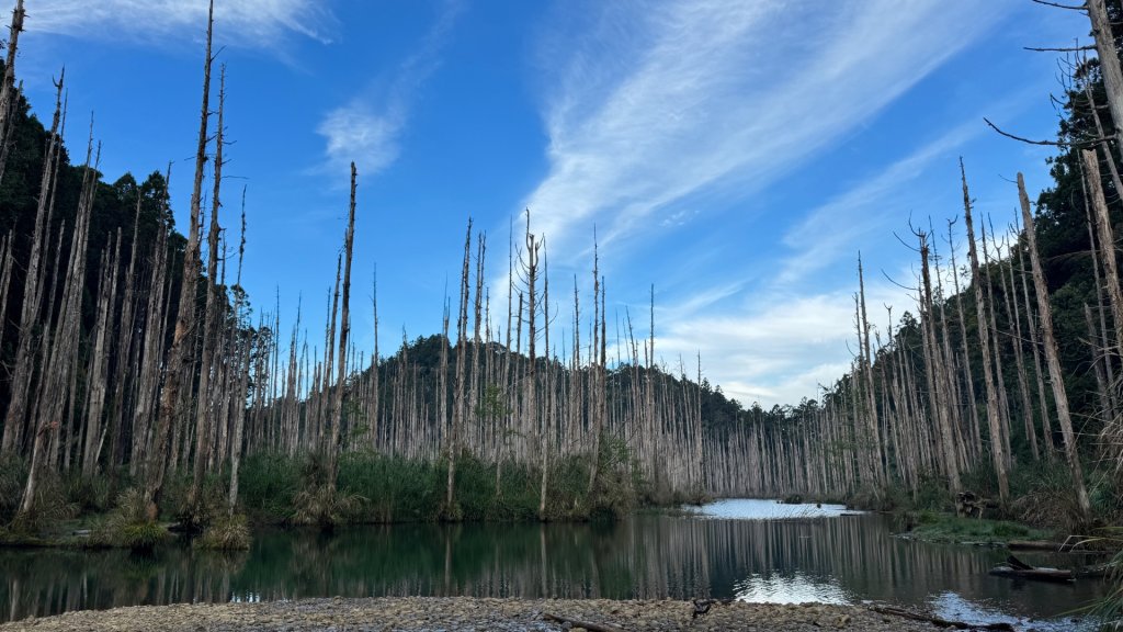 水漾森林+瞑月神木_2768837