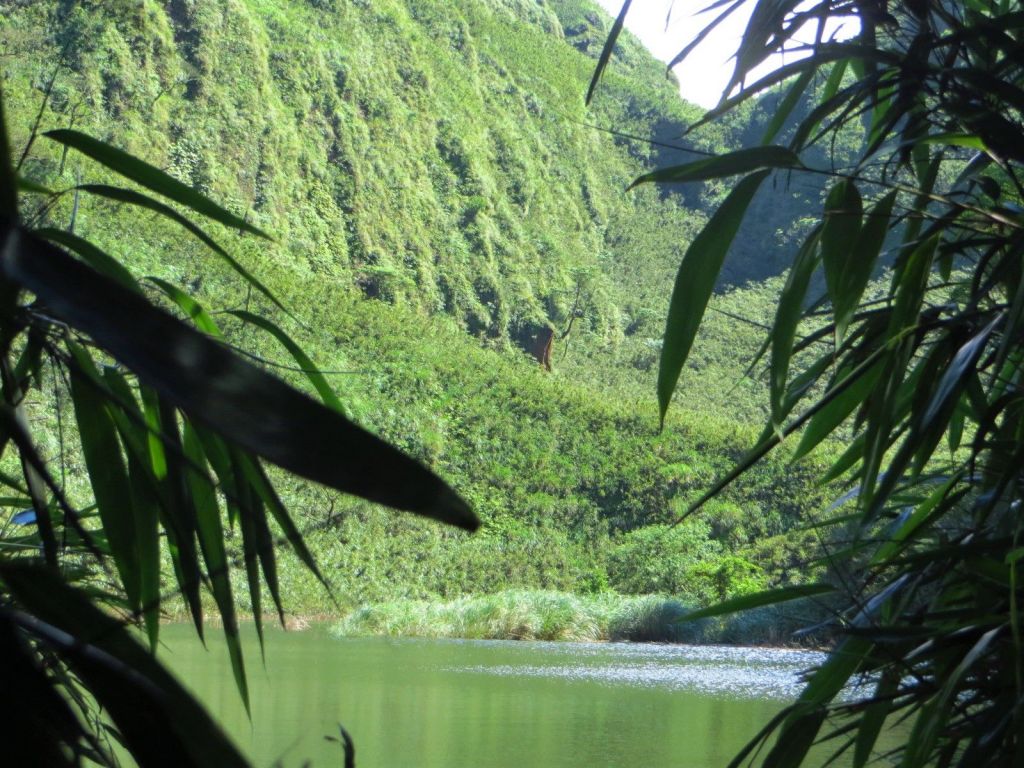 豪大梅雨後的七星池景.._133725