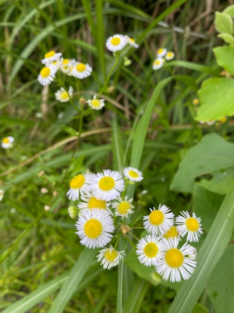 加羅湖。無與倫比的美麗與泥濘_1486370