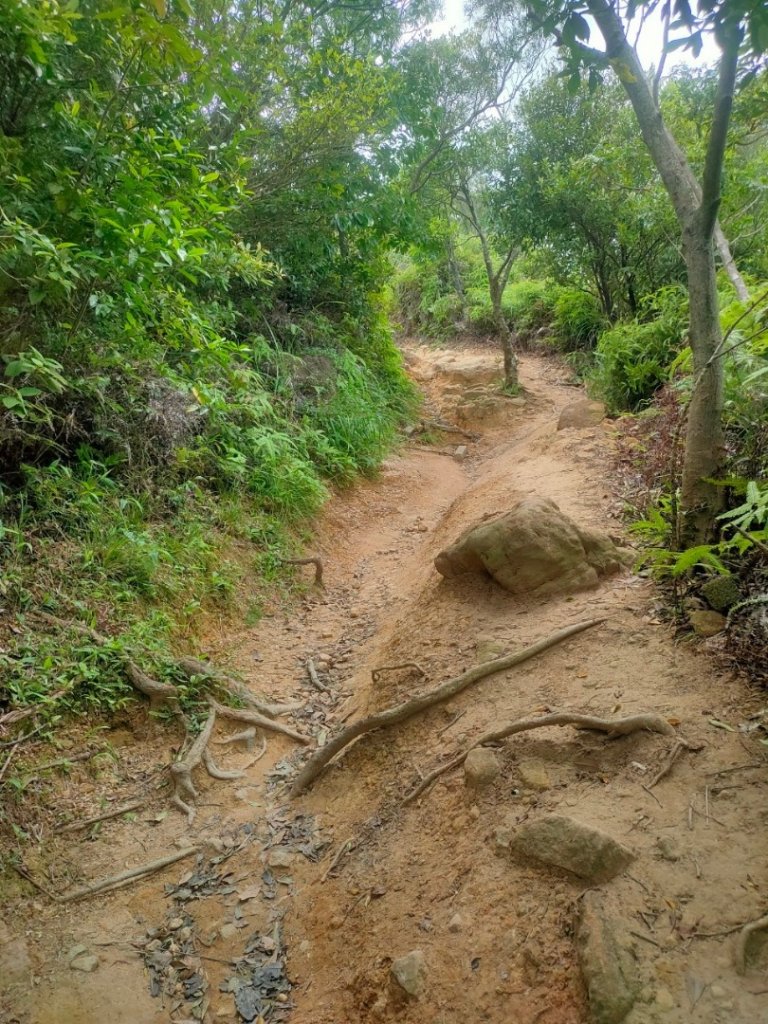 ［軍艦岩，單鳳山］（台灣百大步道）（2023/7/30）_2238437
