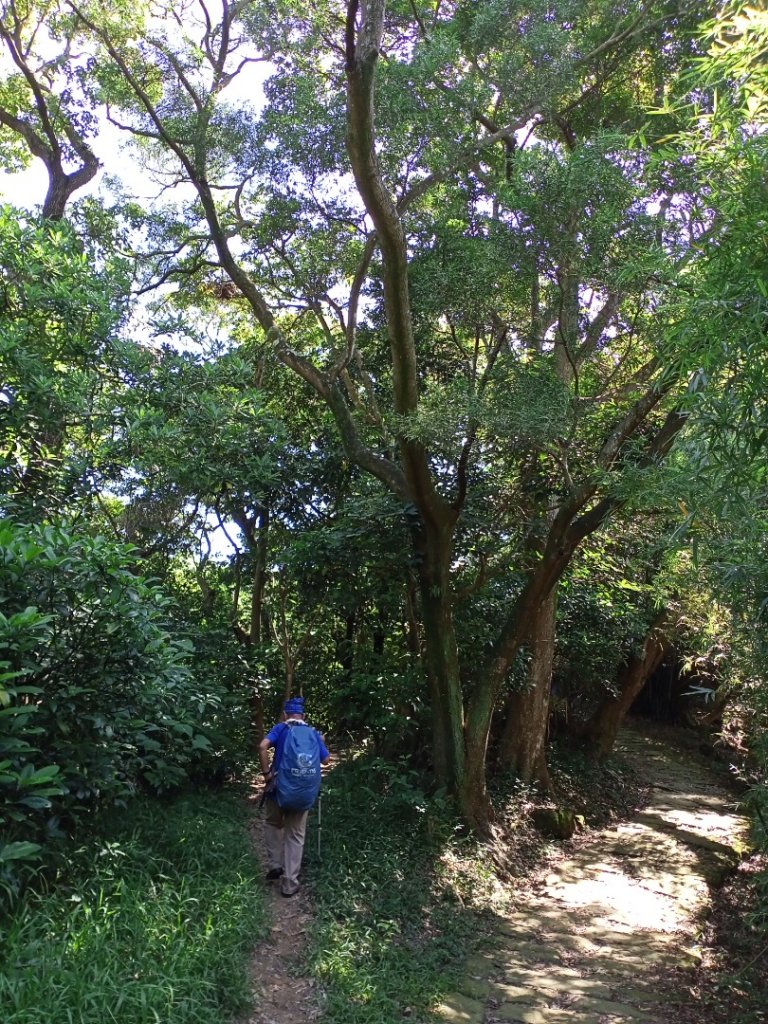 【臺北親山拓印趣】大崙頭尾山親山步道_1122485