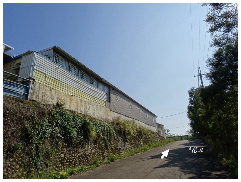  大甲/鐵砧山(小百岳)_819479