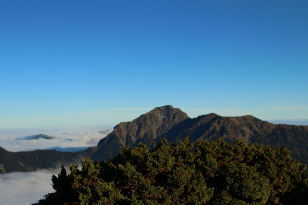 合歡主東峰_232769