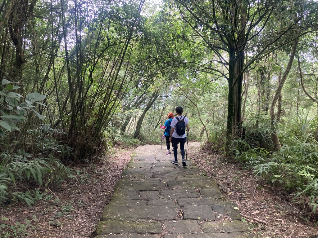 大崙頭山_2532682