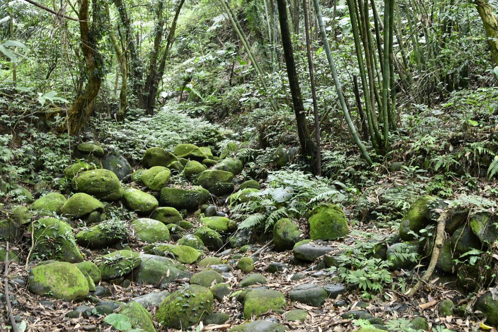 細路日常／渡南古道。牛欄河濱公園_1380746