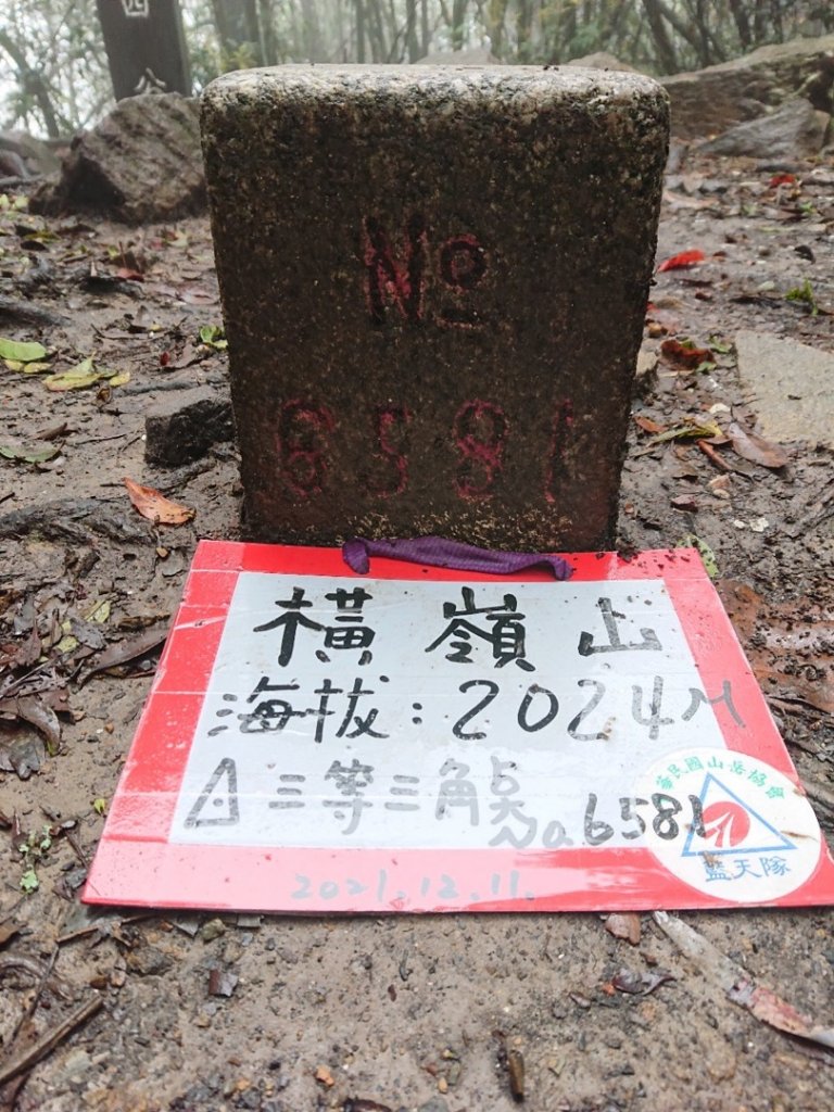 橫嶺山、鳶嘴山O 走_1660973