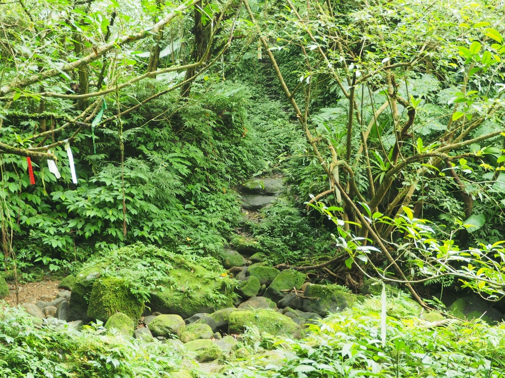 健行日 - 摸乳巷古道、烏塗溪步道_85465