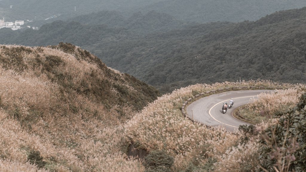 菅芒浪白｜五分山_2356507