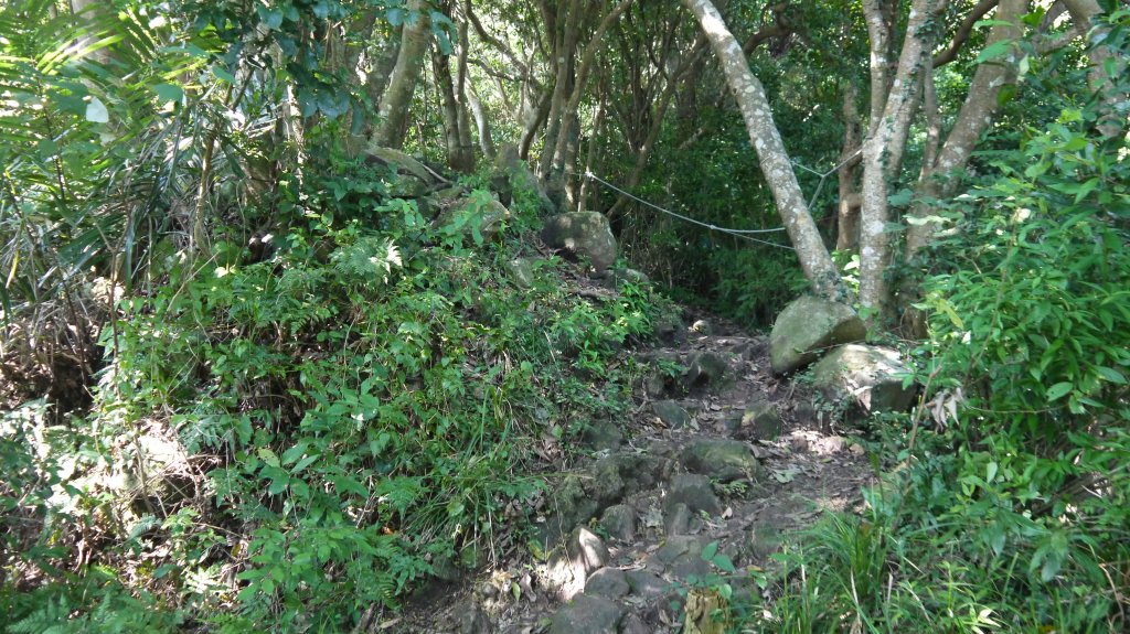 觀音山登山健行趣(小百岳05號)_1632432