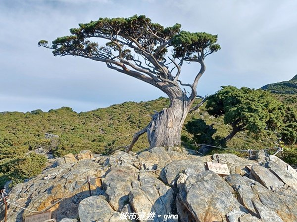 【台東海端】坐的夠久等到藍寶石般的嘉明湖。No27百岳三叉山x No16百岳向陽山 (三天兩夜)_2221276