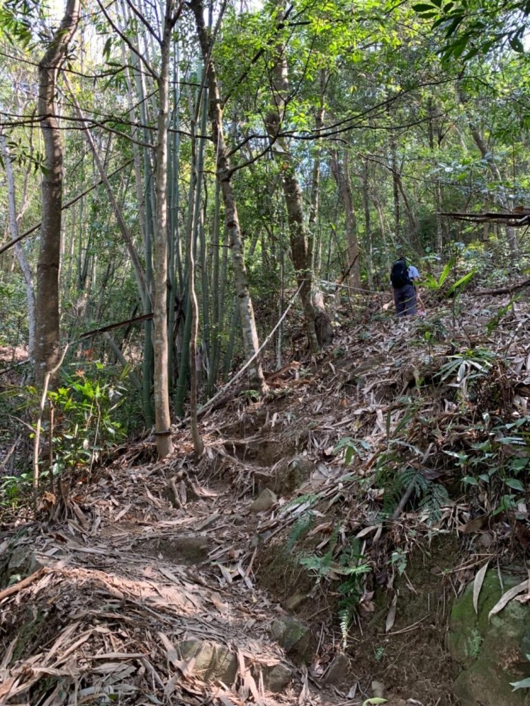 谷關七雄老六～白毛山_562547