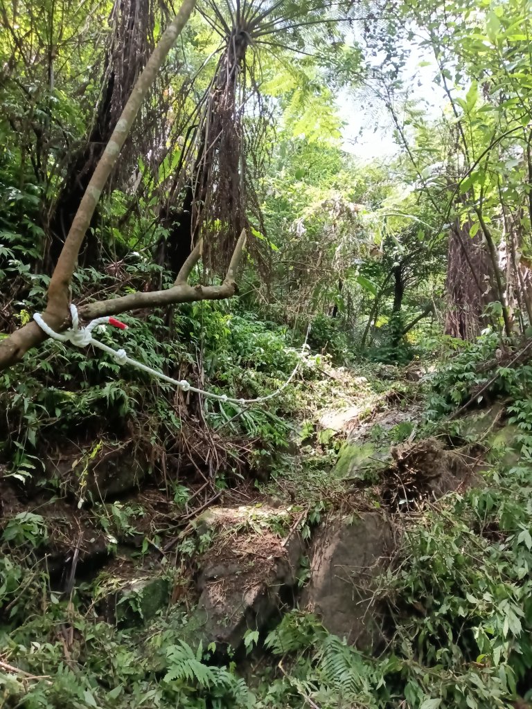 雙溪區柑腳城威惠廟+柑腳城山(下坑山)去回_2796670