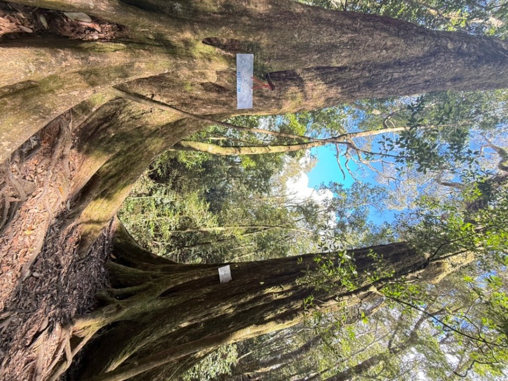 鳶嘴西稜上鳶嘴山-醜崠三崠山連走_2652216