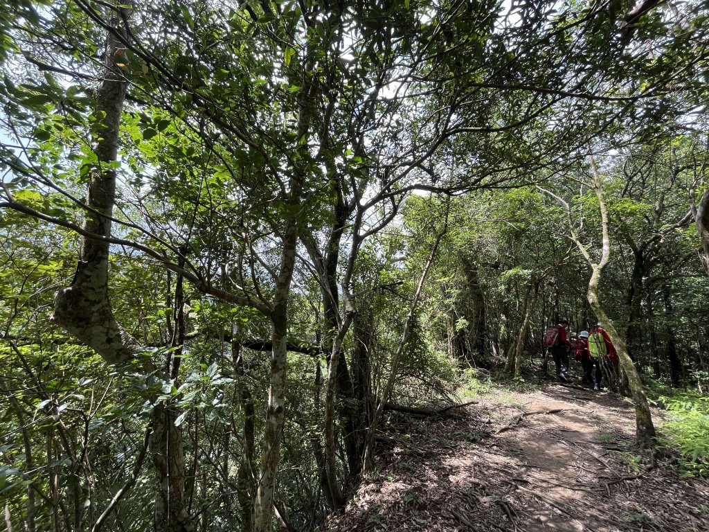 [微笑山線_第十二段] 2025_0803 五分山系_嶺腳寮山_2851341