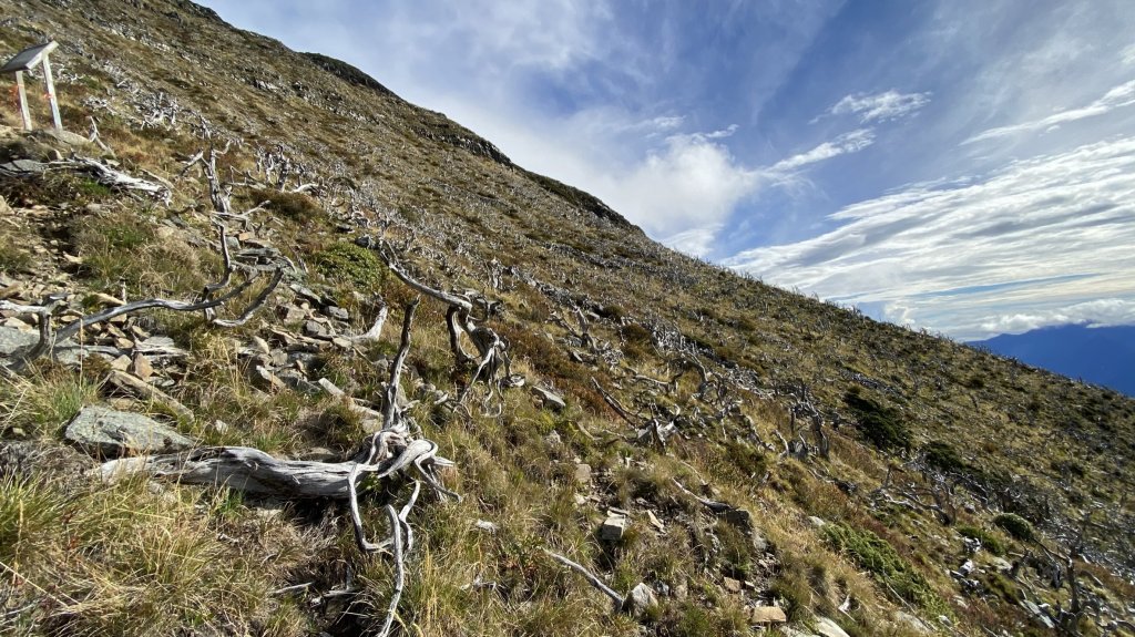 志雪劍之旗_1488350