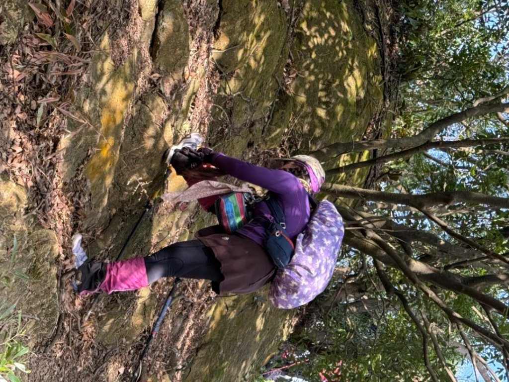 鳳鳴-龜山-鶯歌六連峰縱走/樹林大凍山-鶯歌蛋石山-鶯歌陶瓷博物館_2697065