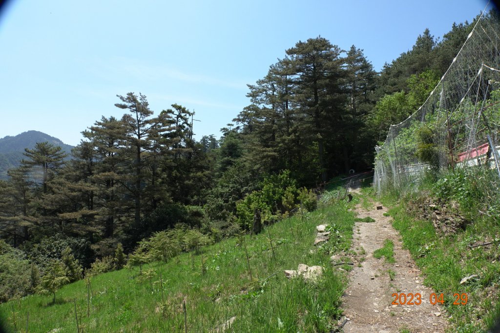 南投 仁愛 武法奈尾山_2133718