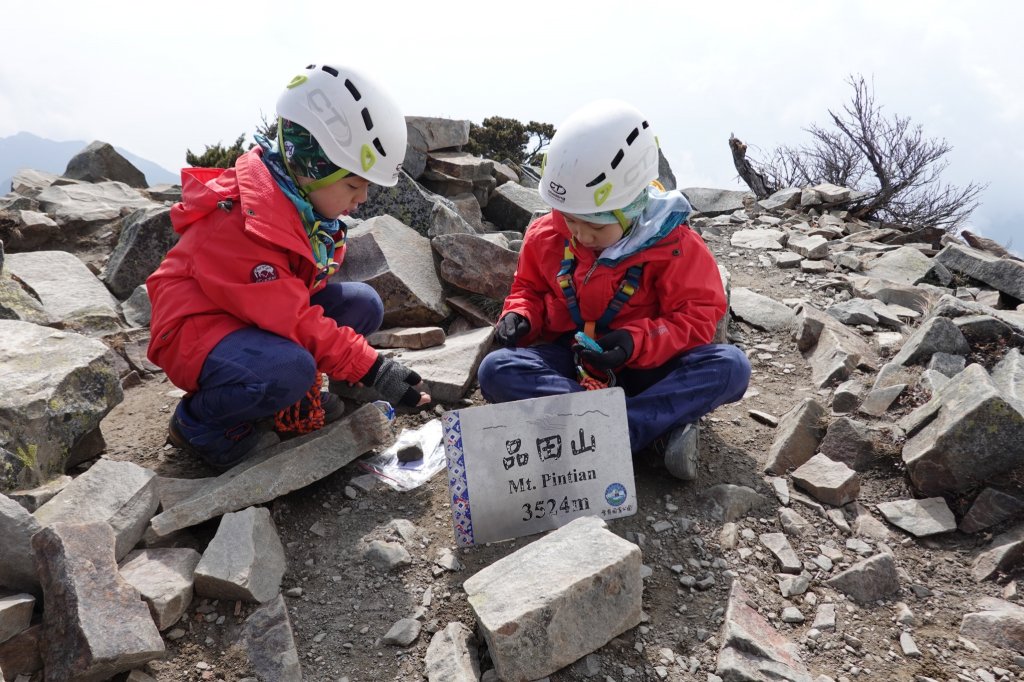 阿興阿賢武陵四秀(重返桃山)封面圖