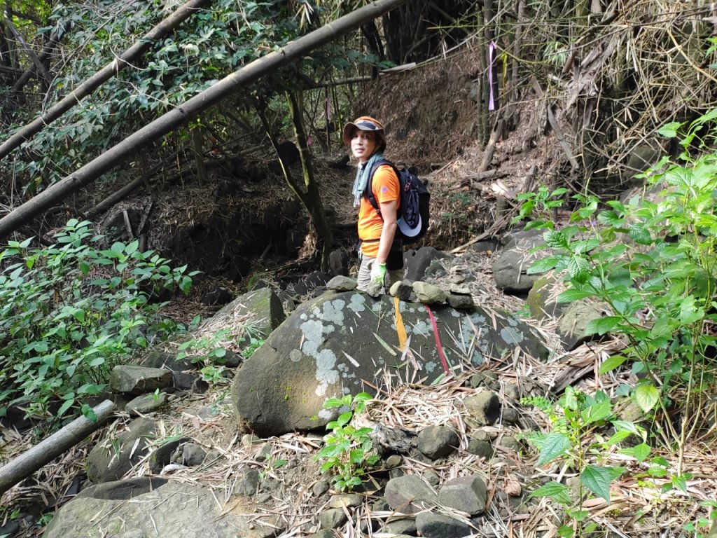 20221115⛰️ 月光山 克孝峰 雙峰山🥵🥵🥵💦噴汗行🌡️🌡️🌡️_1913806