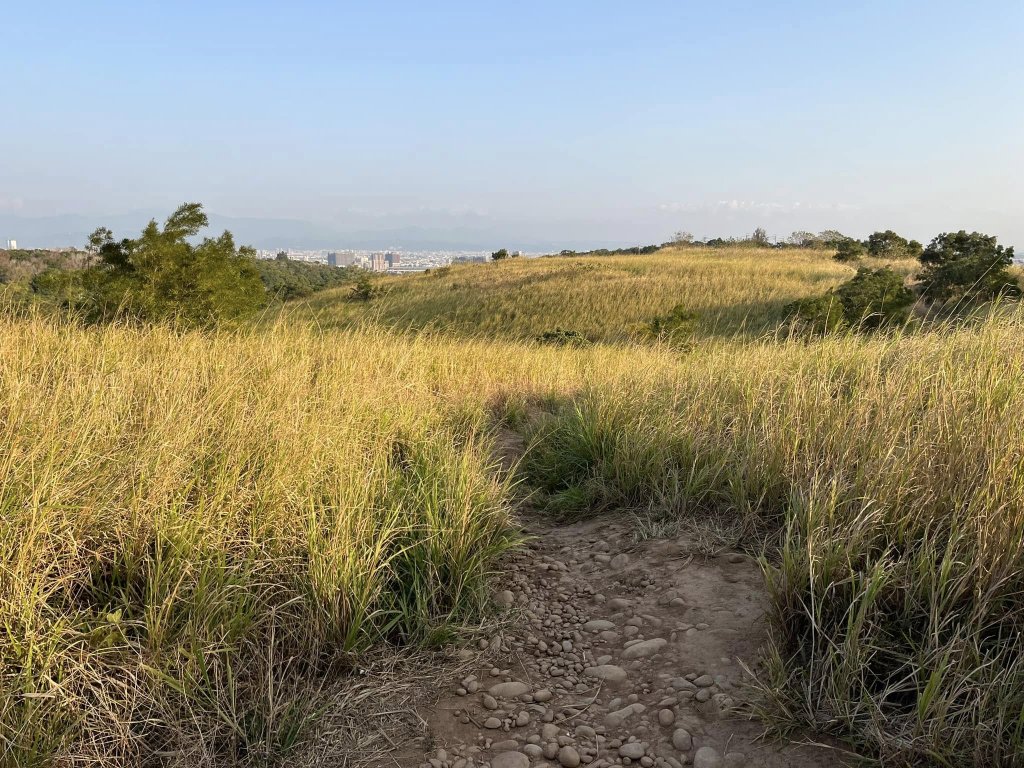 知高圳步道_2711609