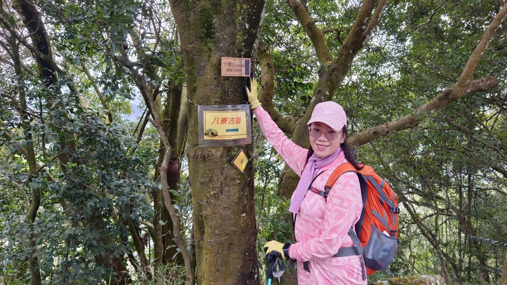 (姨婆趴趴走)第六集:新竹關西打牛崎步道、十寮山縱走_2112704