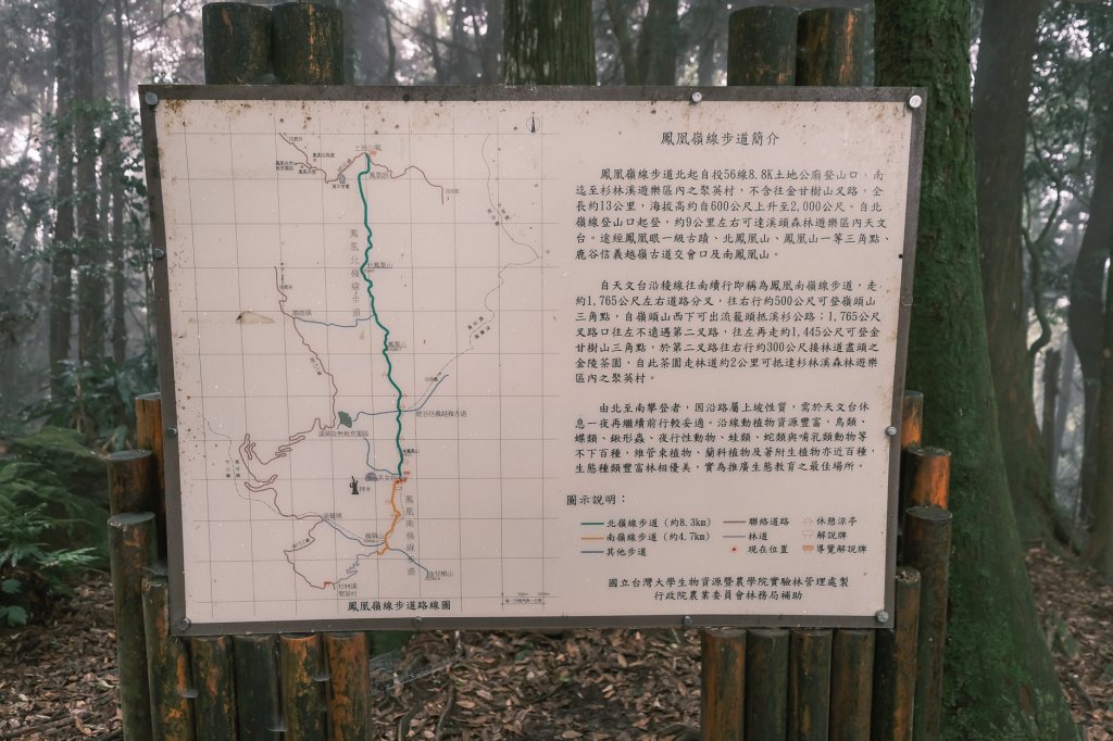 溪頭天文台步道_1772287