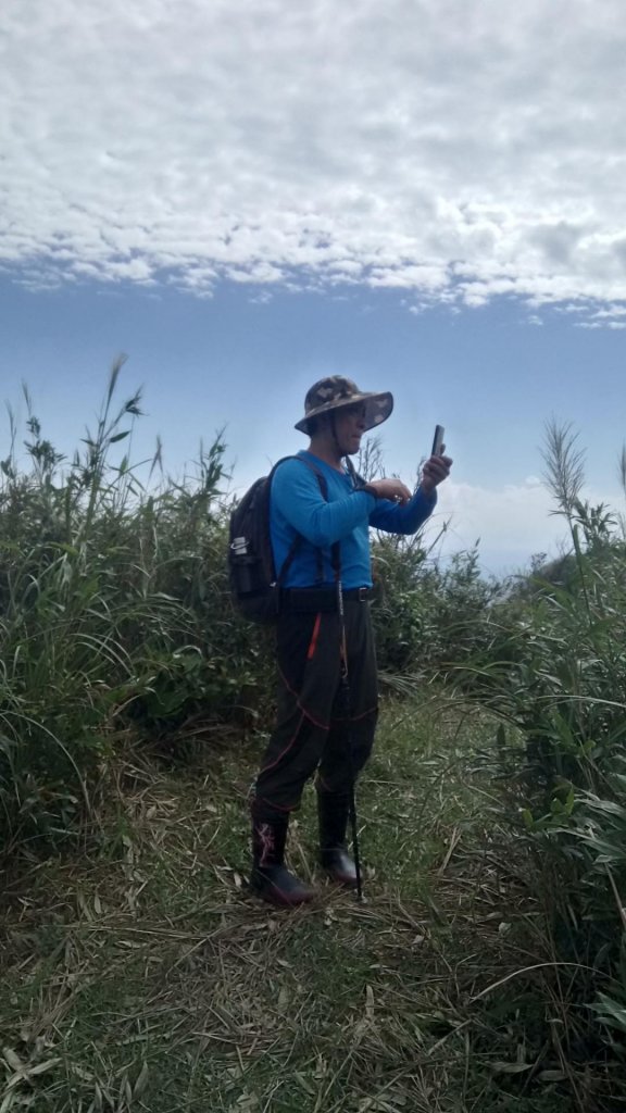 灣坑頭山（小百岳）_466810