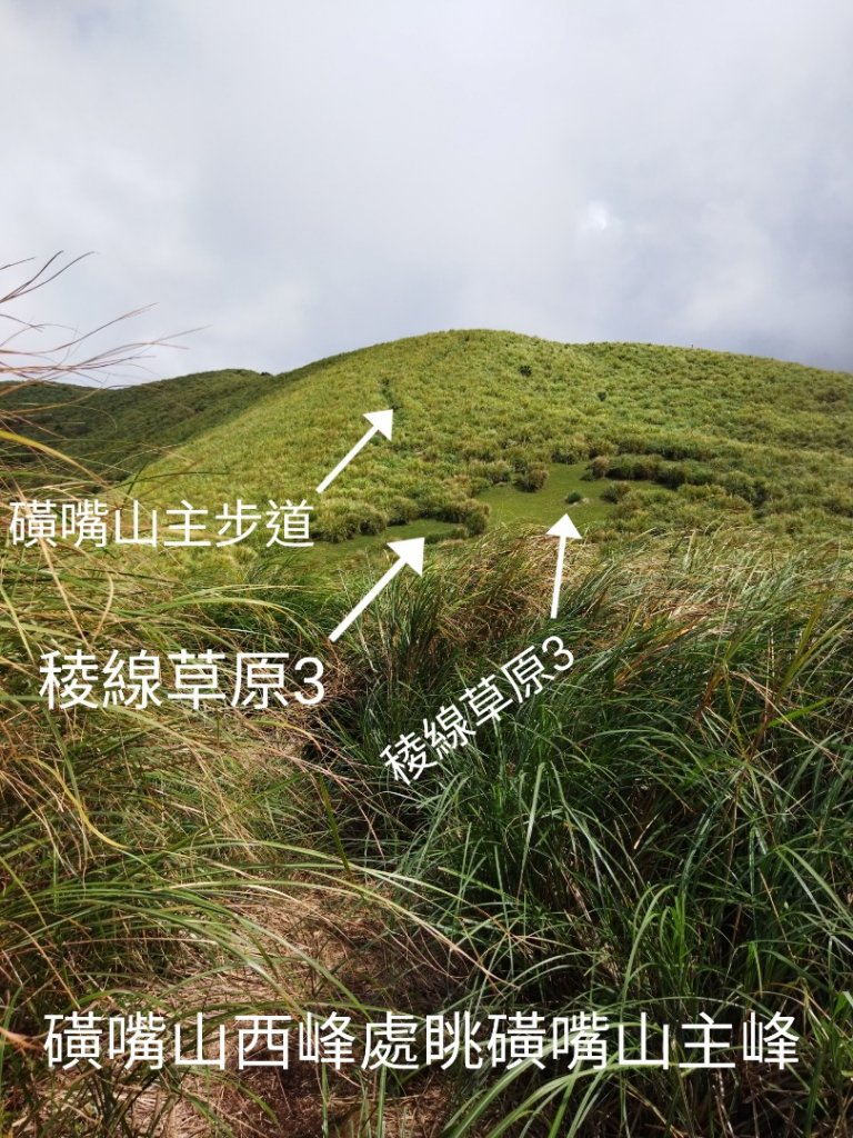 翠翠谷、榮潤古道後段、磺嘴山、磺嘴池、磺嘴山北峰、磺嘴山西峰8字串行_1972782