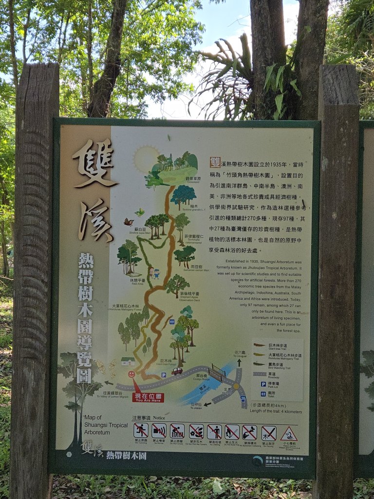 雙溪樹木園>九芎山>九茶山來回封面圖