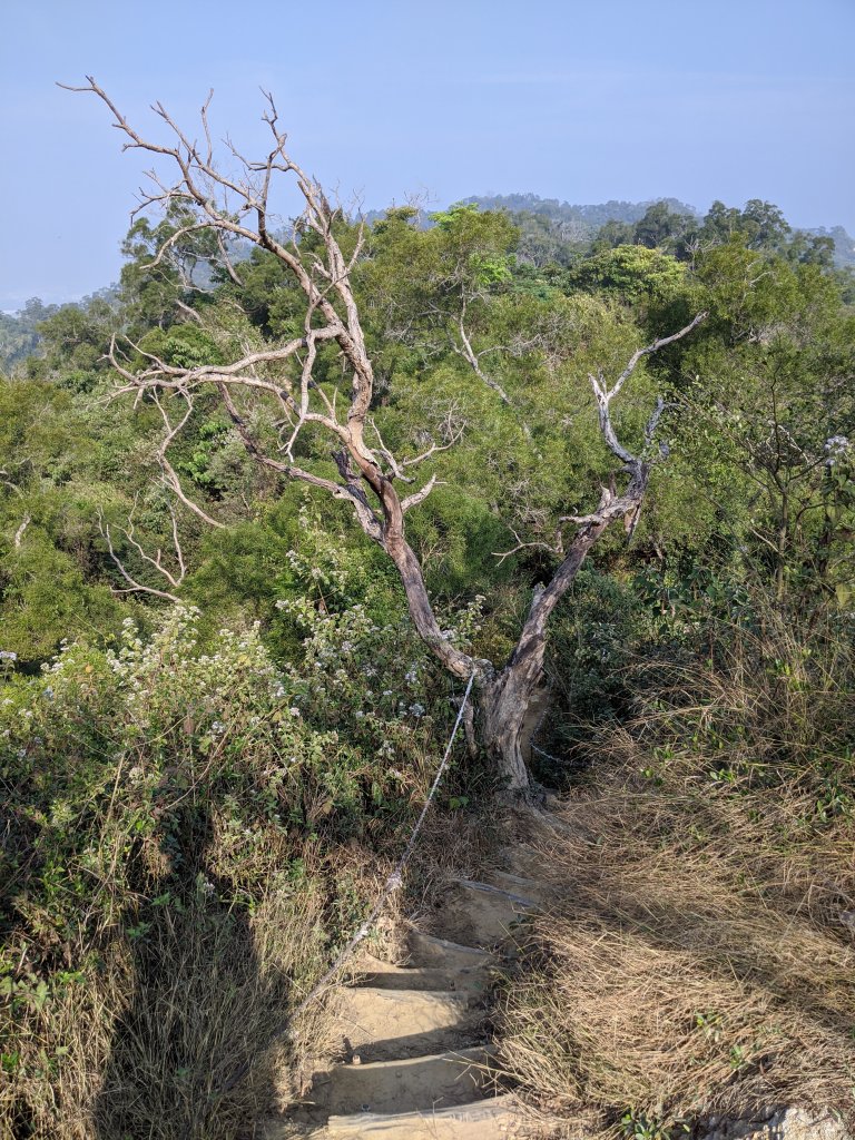 【高雄-小百岳】觀音山_稜線連峰O型縱走_796569