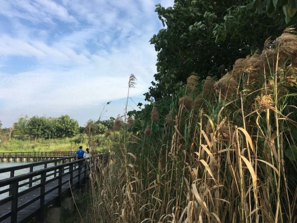 小南海環湖步道_303932