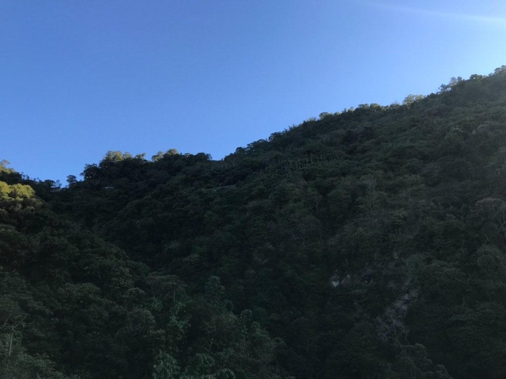 樟腦寮車站上獨立山奉天岩泡茶煮泡麵大巃頂看群峰美景_469701