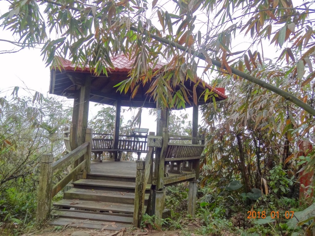 台南第一高山大凍山_240783
