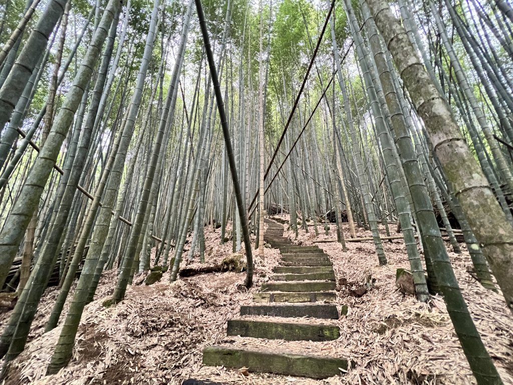 【小百岳尋幽】石壁山探十面埋伏場景_1778155