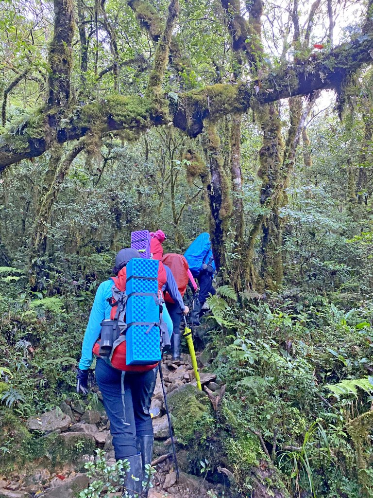 再訪美麗夢幻的17歲少女松蘿湖    _1025843