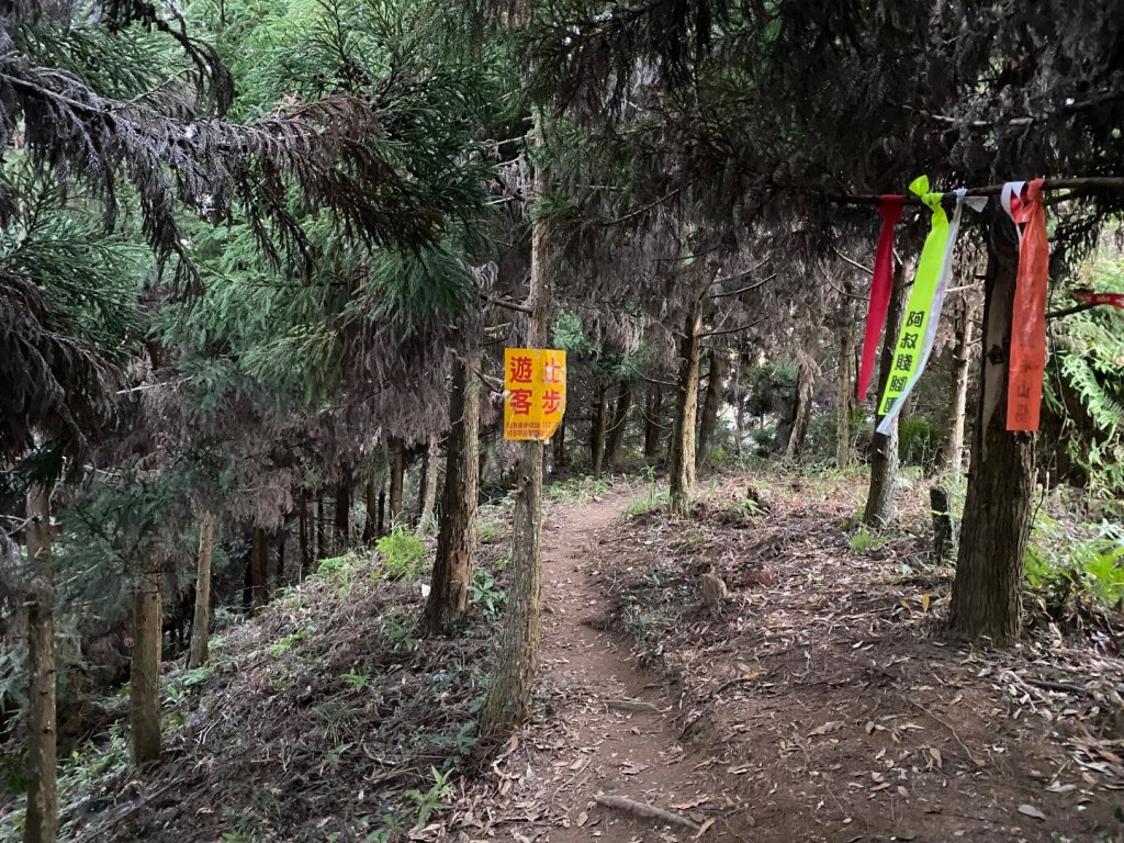 向天湖山_2604196