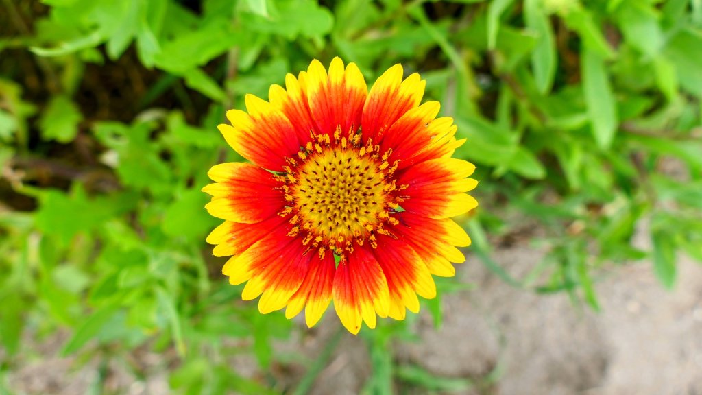 北海岸。良率_2783426