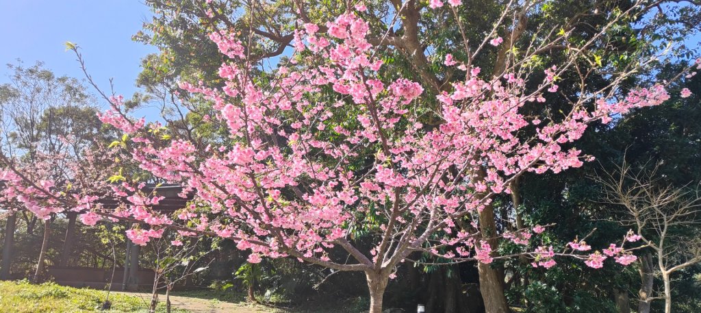 林梢步道_2700677