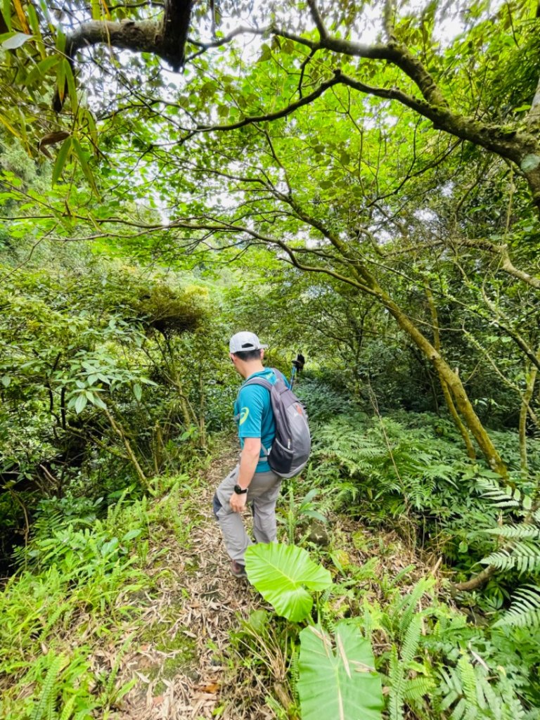 淡蘭中路（暖暖車站-十分車站）_1685446