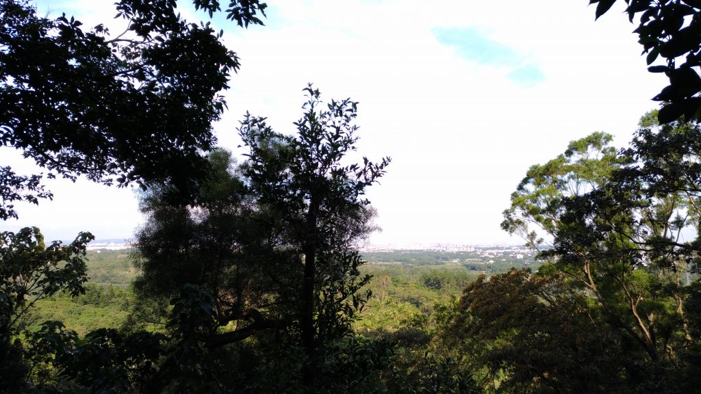 天氣晴更要出去走走!_223789